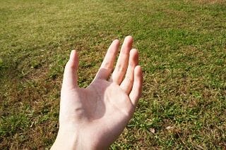 左手の手のひらを上に向けている