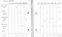 臨時出費。記入している数字の単位は千