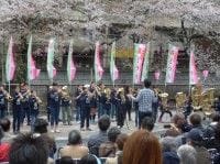 毎年恒例の桜祭りもお花見気分を盛り上げる