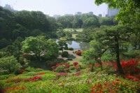 国の特別名勝にも選ばれた、歴史ある庭園「六義園」