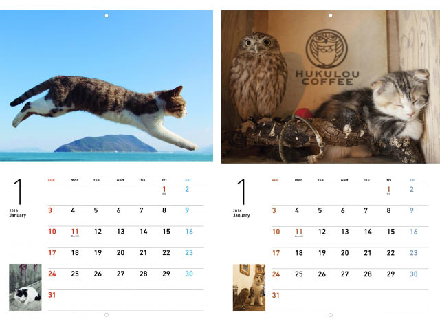 猫好き必見 超人気写真集 飛び猫 から 癒し系 写真集カレンダー2冊同時発売 マイナビウーマン