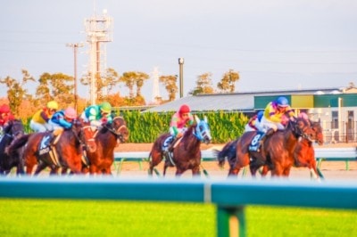 意外 彼氏に競馬デートに誘われるのは あり な女性 42 マイナビウーマン