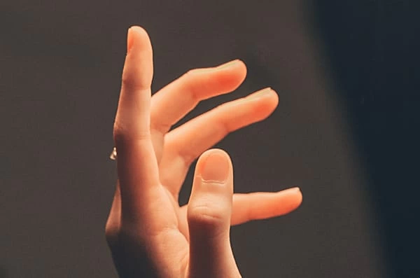 夢占い 犬の夢が暗示する意味は 茶色い犬は 新しい男性の出現 1ページ目 マイナビウーマン