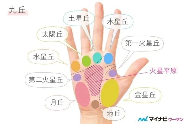 手相占いの基本！ 意味や見方＆強運手相を占い師が解説｜「マイ