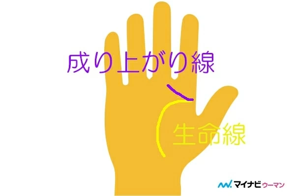 あれば超ラッキー 珍しい手相 ランキング 手相占い マイナビウーマン