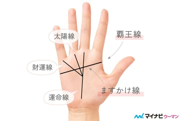 あれば超ラッキー 珍しい手相 ランキング 手相占い 3ページ目 マイナビウーマン