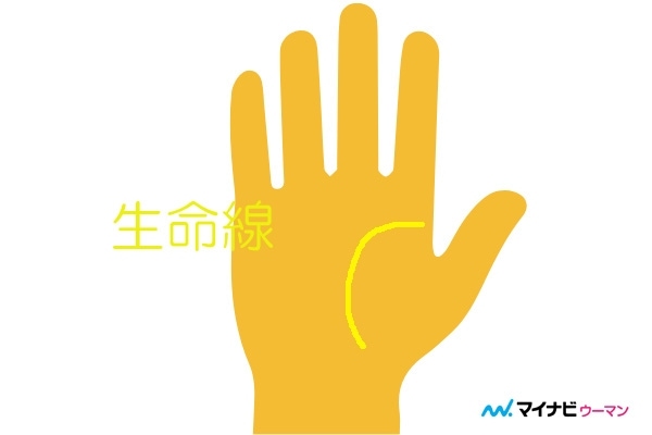 生命線とは 寿命がわかるってホント 手相占い マイナビウーマン