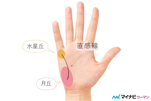 健康線とは？ 長い・くっきりなど種類別の見方【手相占い】｜「マイ