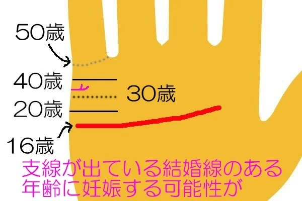 妊娠がわかる 子宝線を見る方法 手相占い 3ページ目 マイナビウーマン