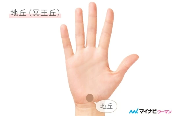 手相の丘とは 丘の膨らみで分かること 手相占い 2ページ目 マイナビウーマン 手相の丘とは 丘の膨らみで分かること 手相占い 2ページ目 マイナビウーマン