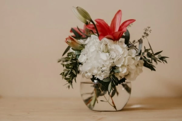 風水的に 良い玄関 悪い玄関 李家幽竹の風水ハック 4ページ目 マイナビウーマン