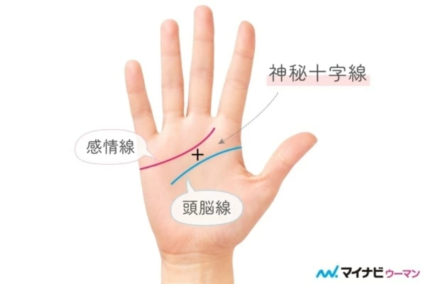 手相の十字 クロス バツ の意味とは 右手左手 位置別見方 手相占い マイナビウーマン