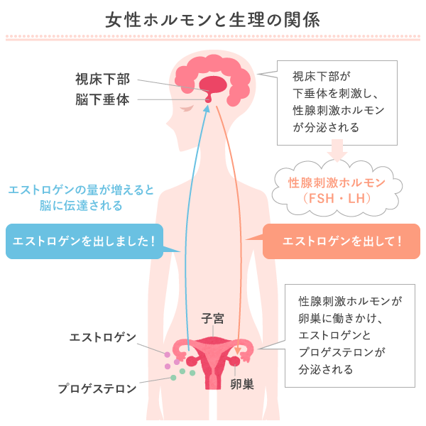 生理周期が長くなる理由とは 希発月経の原因と対処法 2ページ目 マイナビウーマン