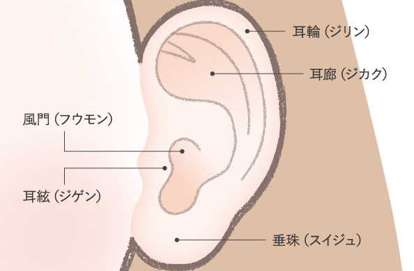 耳 の 後ろ の ホクロ