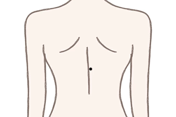 背中のほくろ が示す意味 ほくろ占い 2ページ目 マイナビウーマン