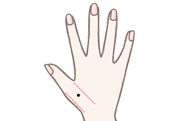 手の甲のほくろ が示す意味 ほくろ占い 2ページ目 マイナビウーマン