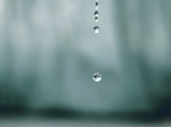 一白水星 年後半の運勢 九星気学 3ページ目 マイナビウーマン