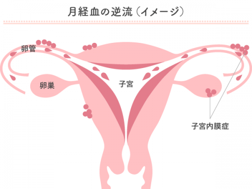 生理中にセックスしたらダメ 想定されるリスクとは 2ページ目 マイナビウーマン