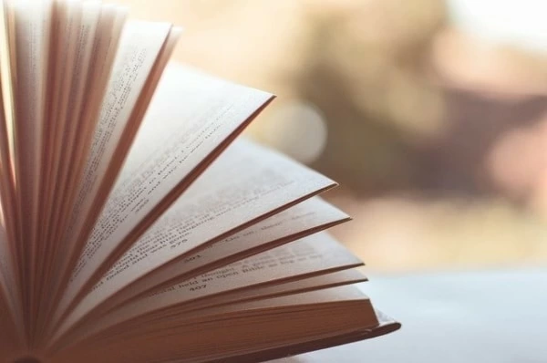 態度がでかい とは 意味や類語 表現の使い方 Meaning Book