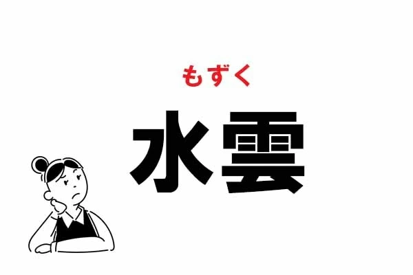 難読 みずぐも ってなに 水雲 の正しい読み方 マイナビウーマン