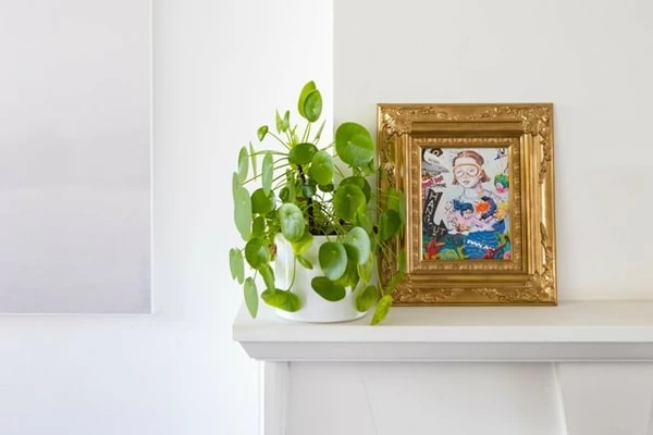 風水で家の運気をアップするには 家具配置とインテリアのポイント 1ページ目 マイナビウーマン