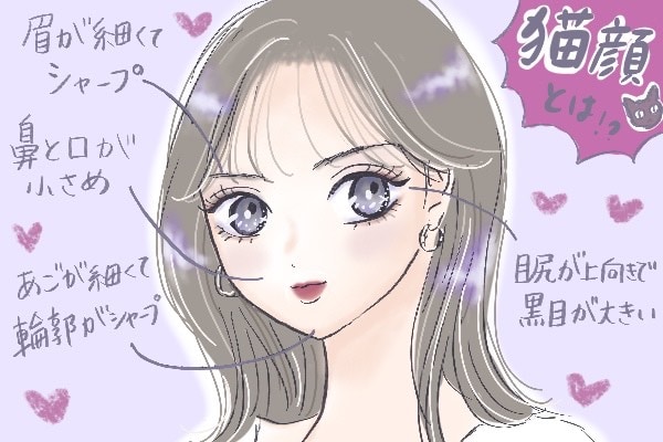 猫の唇のかわいさ!猫の唇の特徴と役割 6 c8097a34467c0f6b233bb457c9605734 1