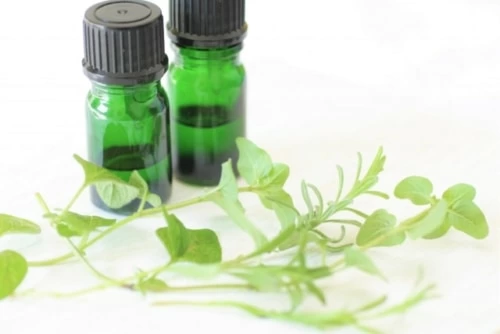 ハーブセラピストになるには 必要な資格や仕事内容を解説 マイナビウーマン