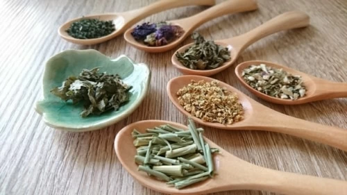 ハーブセラピストになるには 必要な資格や仕事内容を解説 マイナビウーマン