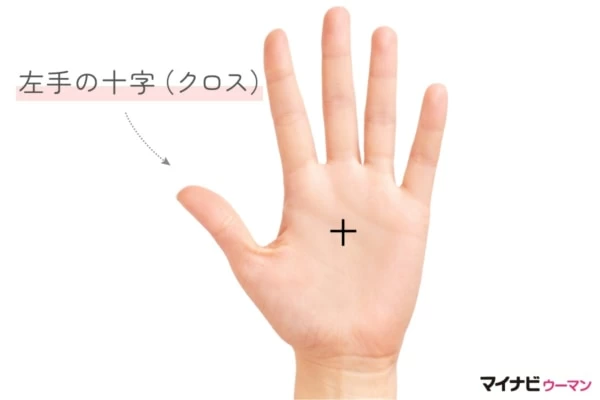 左手の手相が示す意味とは？ 基本の見方と強運な左手手相【#手相占い】｜「マイナビウーマン」