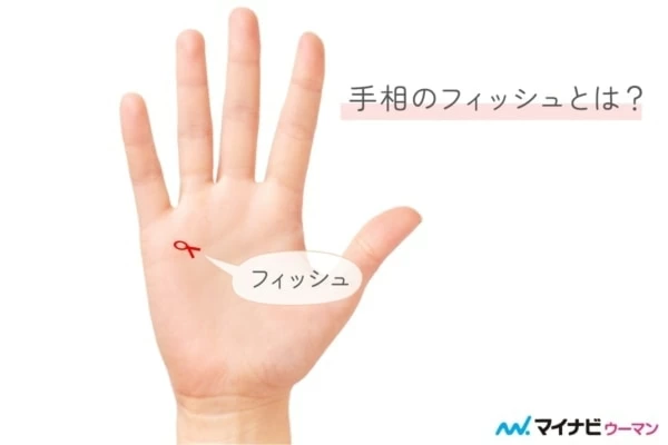右手の手相が示す意味とは？ 基本の見方と強運な右手手相【手相占い】｜「マイナビウーマン」