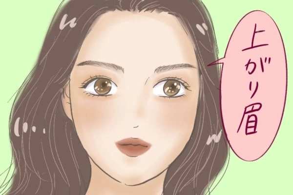 人相学 眉の形や長さ 濃さで分かる性格と恋愛傾向 マイナビウーマン