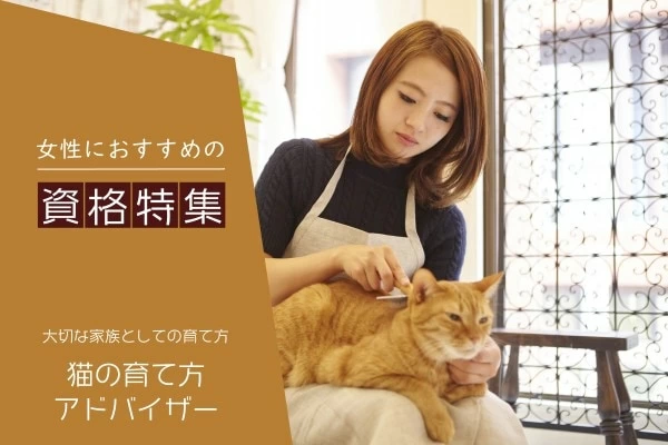 ペット飼う 販売 経営者