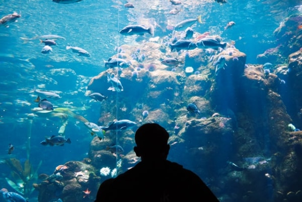 水族館デートの服装選びのポイントは 春夏 秋冬のおすすめコーデ例も紹介 マイナビウーマン