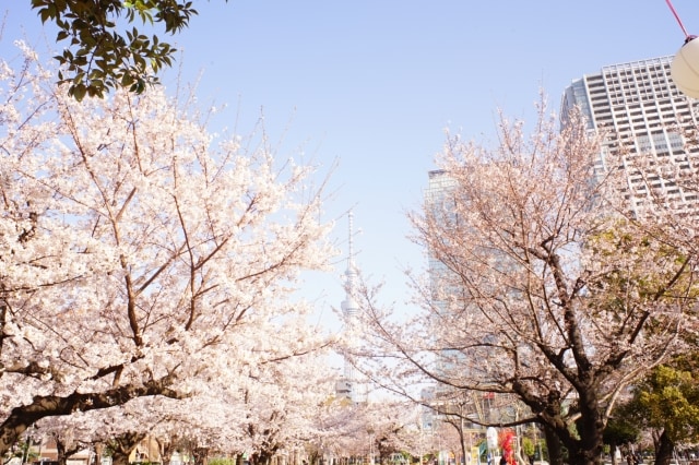 錦糸町のデートスポット8選 映画やショッピングなどのおすすめプラン マイナビウーマン