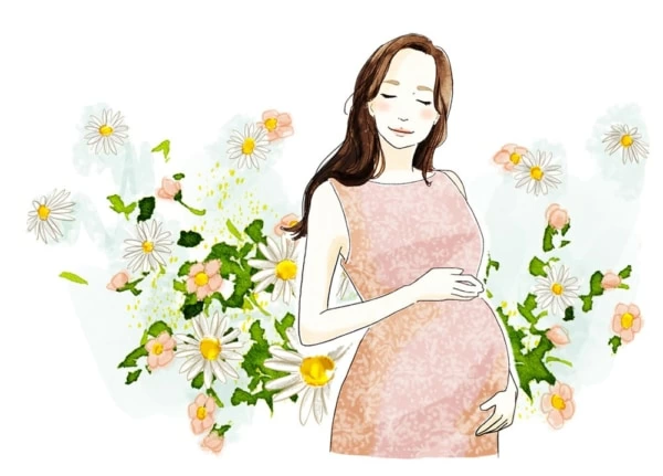 妊娠前のからだづくり 81IMxv4HHpL.jpg