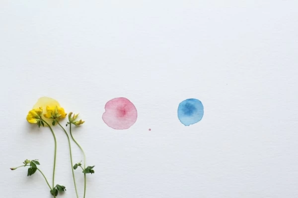 男友達の家に行くのってアリ 家に誘う男性心理と注意点 1ページ目 マイナビウーマン