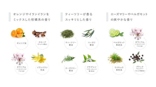 FUJIMIからパーソナライズスキンケアが誕生。春夏秋冬で一人ひとりの肌