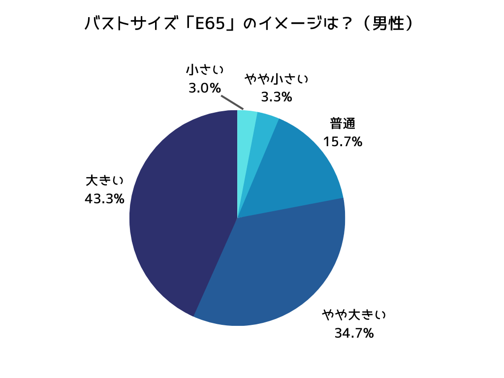 E65でも見た目が小さい？ バストサイズが違って見える理由を解説