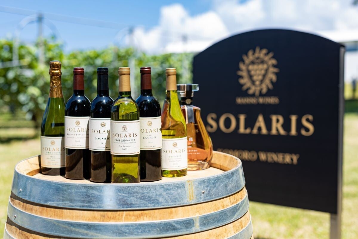 ソラリス マニフィカ 2015 赤ワイン 750ml 13% 長野県小諸市ふるさと納税返礼品・最高峰の赤ワイン「ソラリス