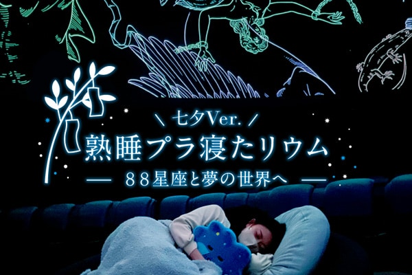 夢で寝る時の間の未来惑星で動いている子達 konica01.jpg