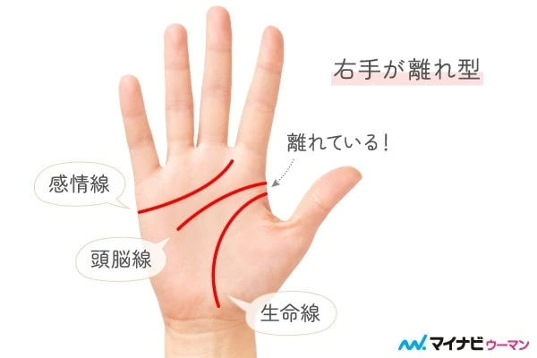 KY線オンマイハンズ 両手離れ型の手相は珍しい？ 意味や見方を占い師が解説【#手相
