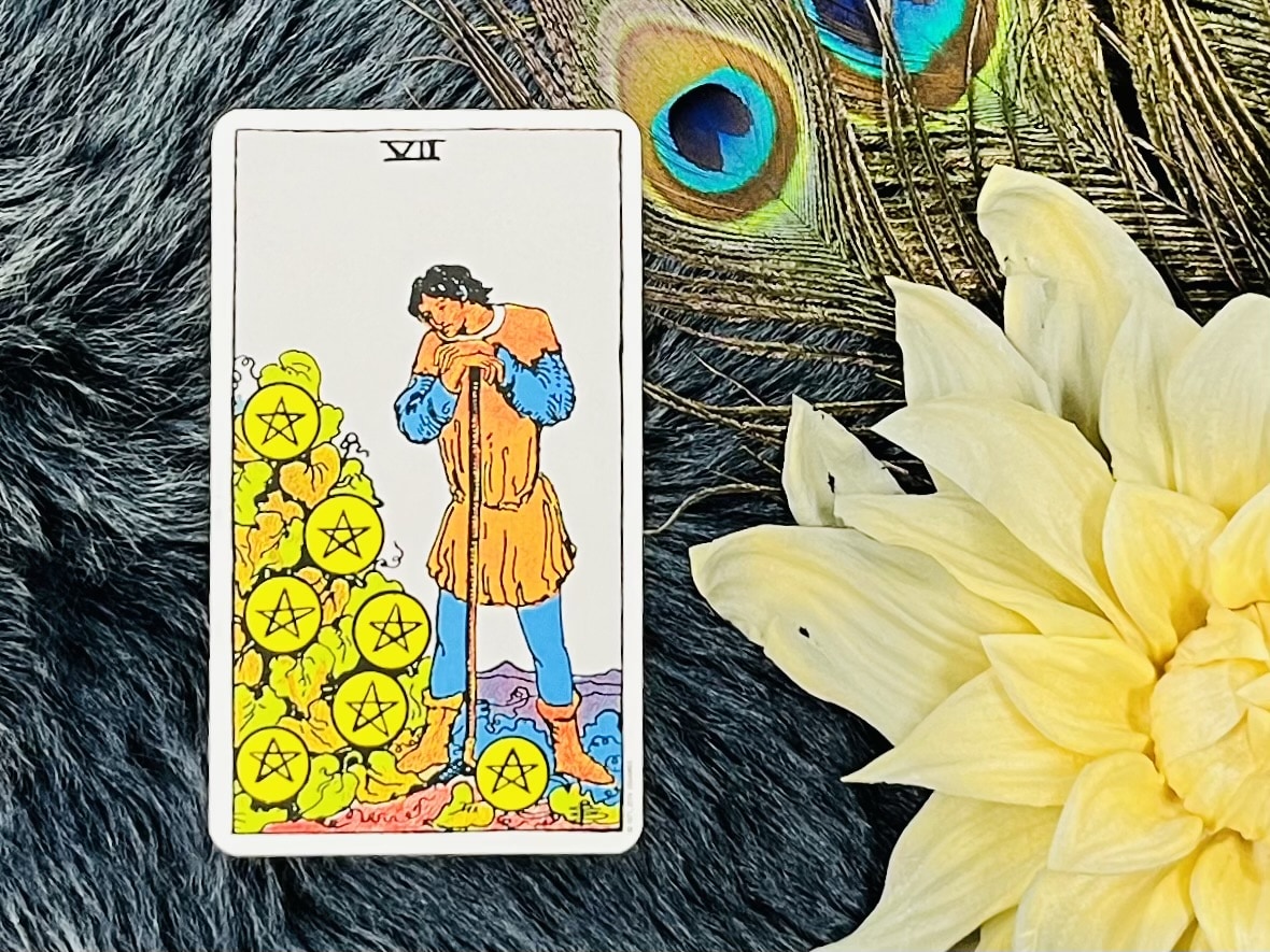 「ペンタクル7」の意味は？ 正位置・逆位置別に解釈を紹介【タロットカード】｜「マイナビウーマン」