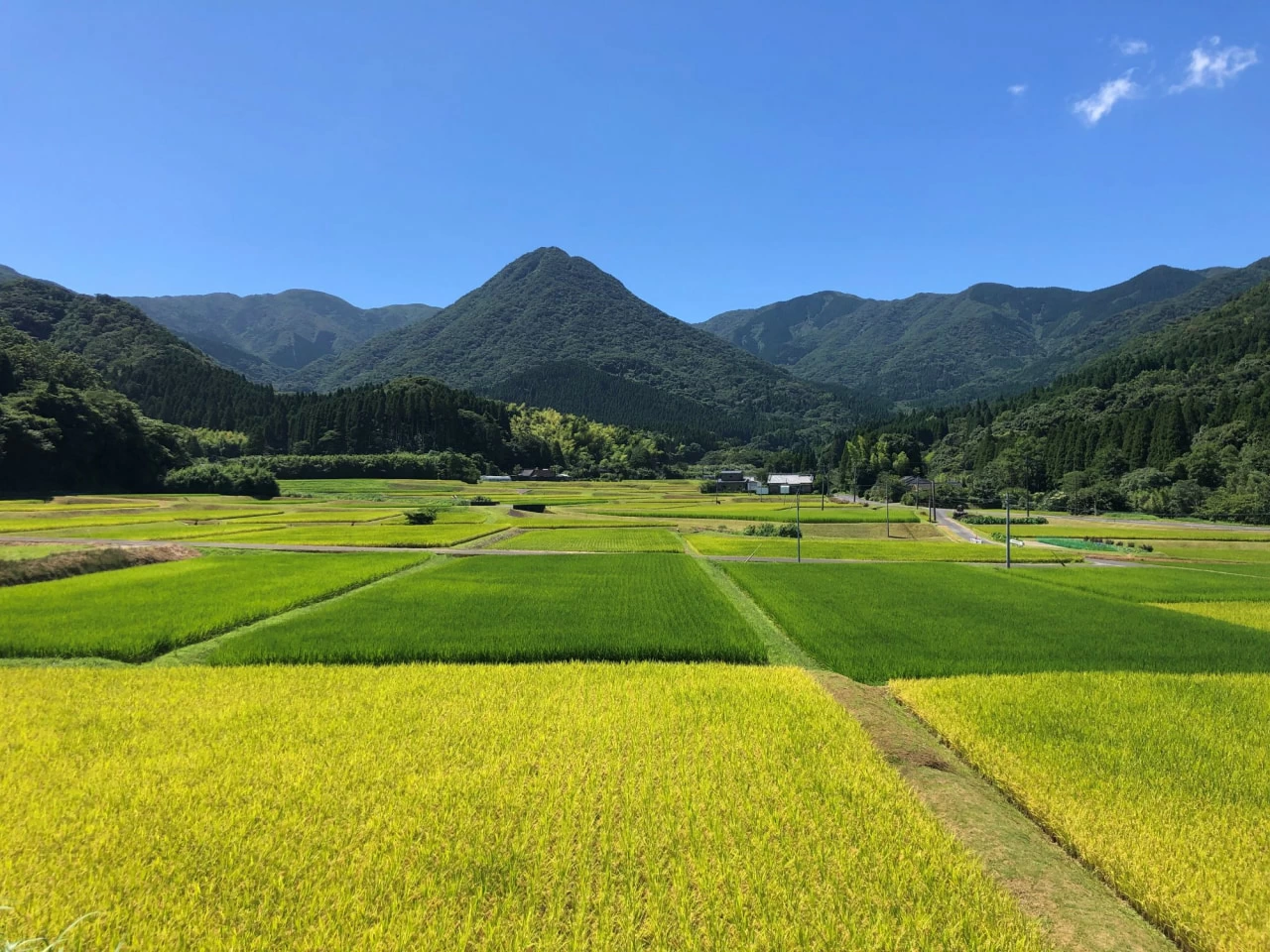 鹿児島県鹿屋市】心が解放される“パラダイス”のような暮らしやすさ