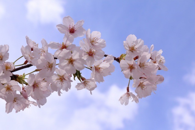 未来のために小さな一歩を踏み出そう