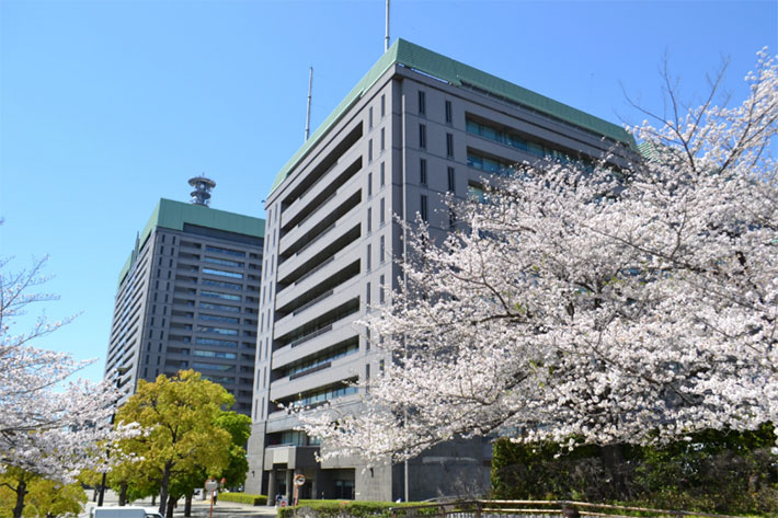 【理系学生必見】わたしらしく働く未来を考えるキャリアワークショップを開催！　技術系国家公務員の仕事とは？