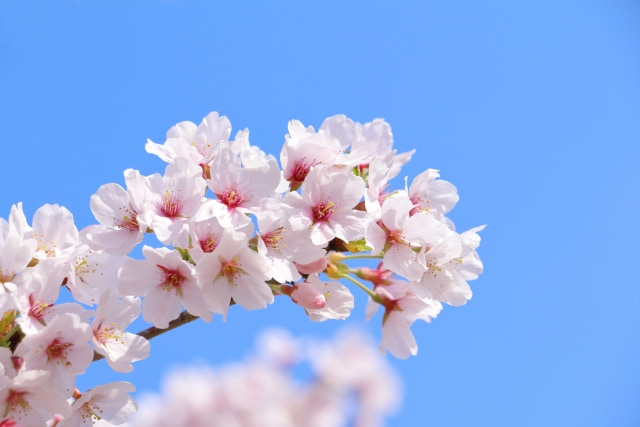 教員だった私を抱えたまま、次へ進む