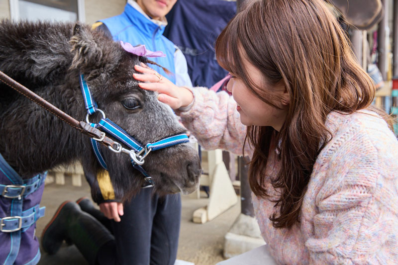 初心者女子が休日に東京競馬場を遊び倒す！　推し馬探しにグルメ旅、競馬場の意外な楽しみ方って？