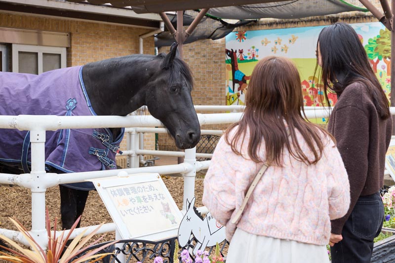 初心者女子が休日に東京競馬場を遊び倒す！　推し馬探しにグルメ旅、競馬場の意外な楽しみ方って？