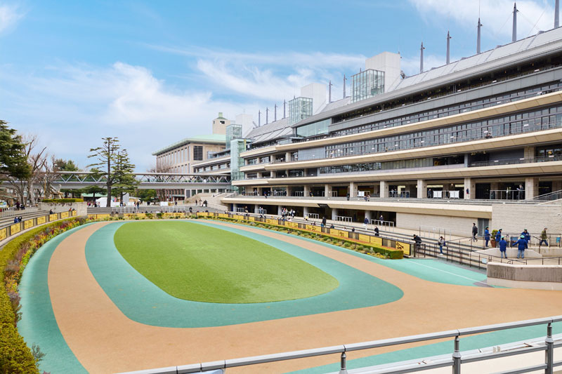 初心者女子が休日に東京競馬場を遊び倒す！　推し馬探しにグルメ旅、競馬場の意外な楽しみ方って？