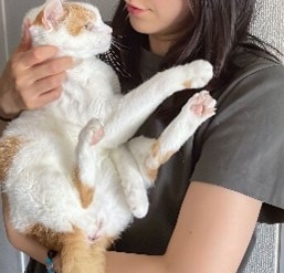 Aさん